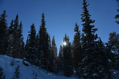 DSC_4982 (Large).JPG